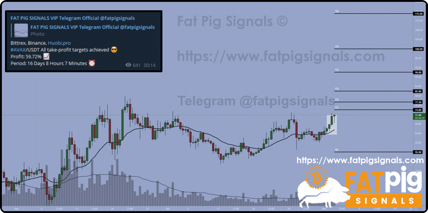 Crypto Signals & Layer 1 Basics | Fat Pig Signals