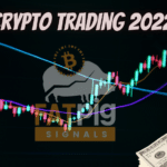 How To Trade Cryptocurrencies Successfully In 2022