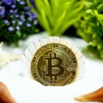 how to invest in eco-friendly cryptocurrencies