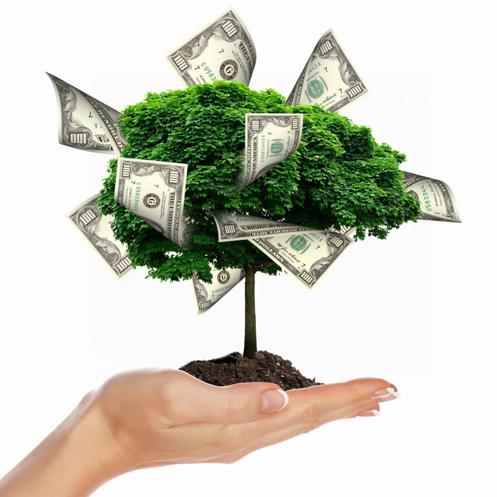 Crypto and Sustainability Crypto and Sustainability