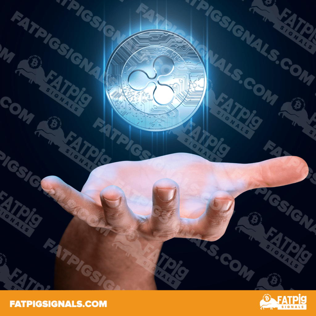 The secrets to discover the best Ripple Signals revealed The secrets to discover the best Ripple Signals revealed