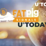 Fat pig signals and utoday partnership