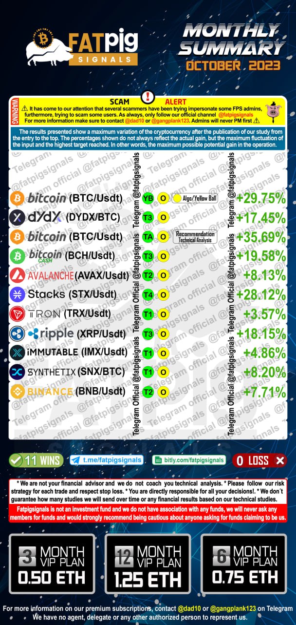 Fat pig Signals october 2023 results